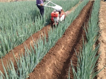 大蔥(cōng)開溝培土機